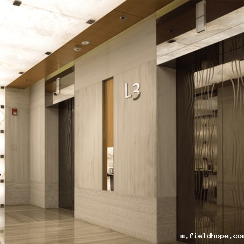 美的菱王电梯WIN5000商务乘客电梯